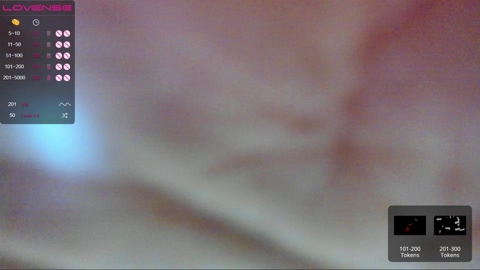 why_not_wmw  28-11-2022